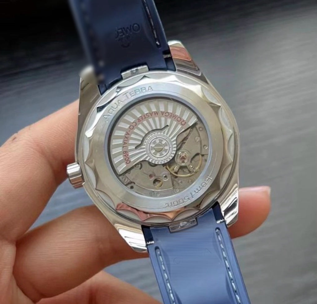 Omeha Seemaster Äqua Terra Watch